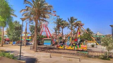 Photo of سعر تذكرة سفاري بارك 2025 ومواعيد العمل