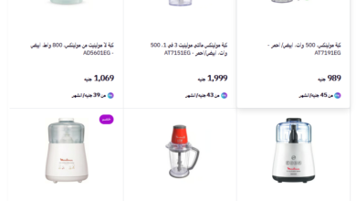 Photo of سعر الكبة الفرنساوي في مصر 2025