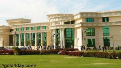 Photo of مصاريف جامعة أكتوبر للعلوم الحديثة والآداب msa 2025