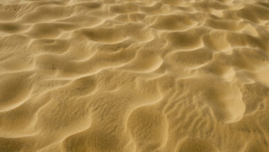 Photo of سعر الرمل اليوم جميع الأنواع محدث